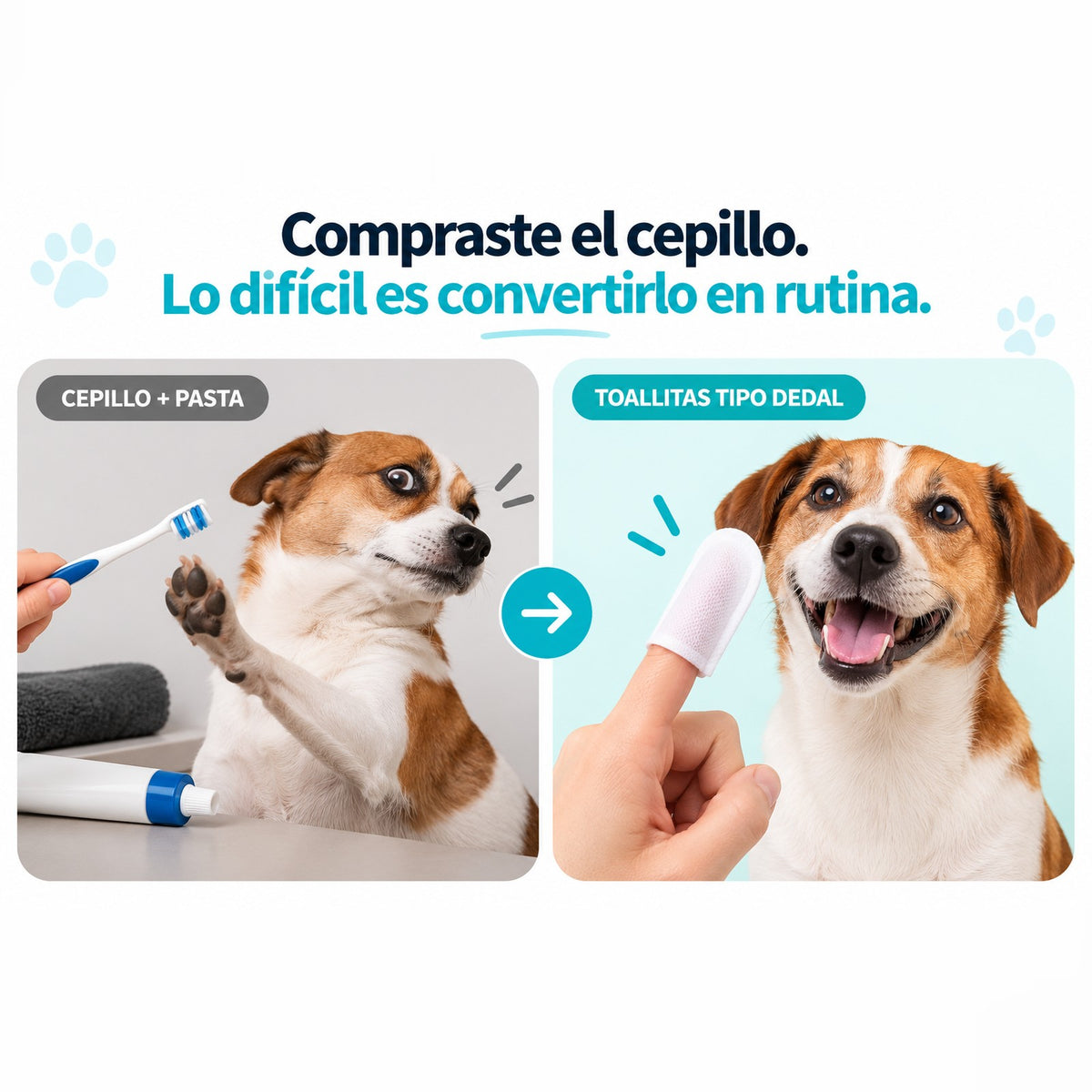 Compraste el cepillo, lo difícil es convertirlo en rutina: cepillo y pasta frente a toallitas tipo dedal