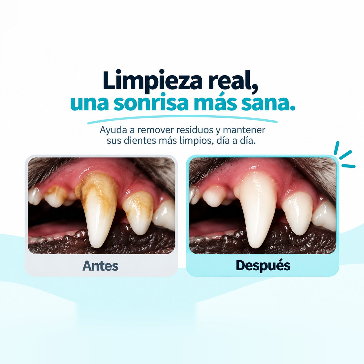 Limpieza real, una sonrisa más sana: ayuda a remover residuos y mantener sus dientes más limpios, día a día